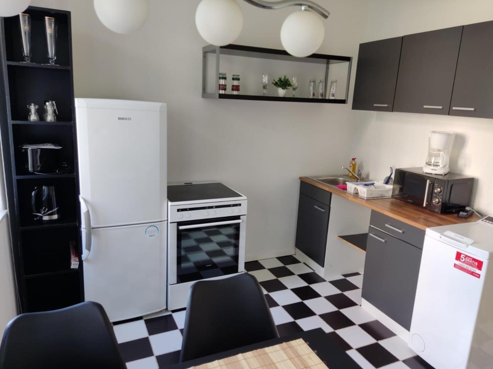 Flex Aparts - Grosse, Moeblierte Wohnung In Zwickau Mit 2 Zimmern Εξωτερικό φωτογραφία